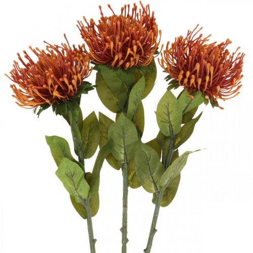 Floristik24 Alfineteiro Exótico Flor Artificial Laranja Leucospermum Protea 73 cm 3 unidades