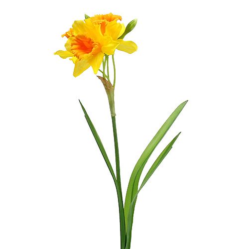 Floristik24 Narciso amarelo L40cm