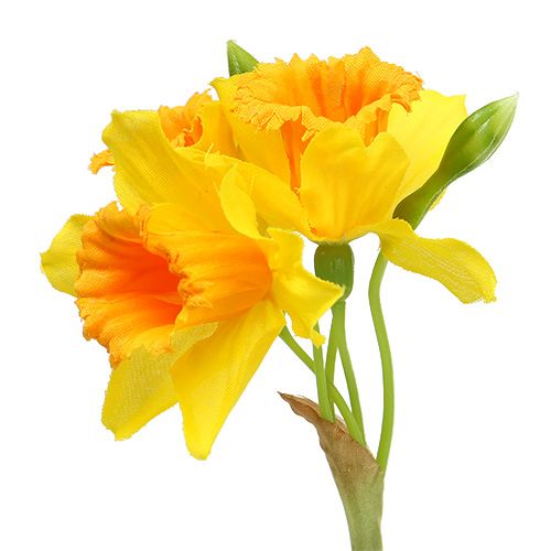 Floristik24 Narciso amarelo L40cm