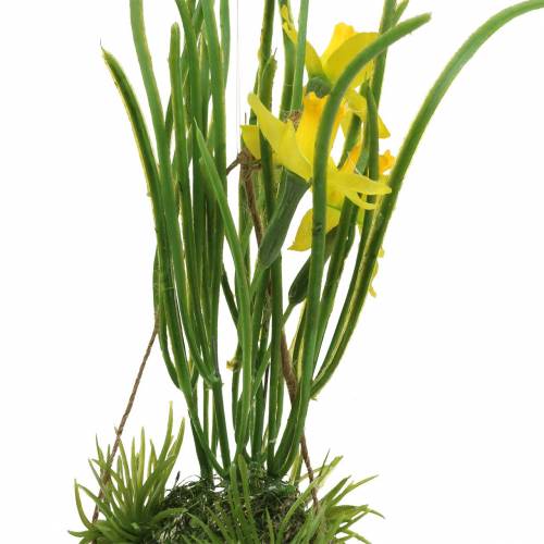 Floristik24 Narciso na casca do ovo para pendurar Artificial amarelo 25cm