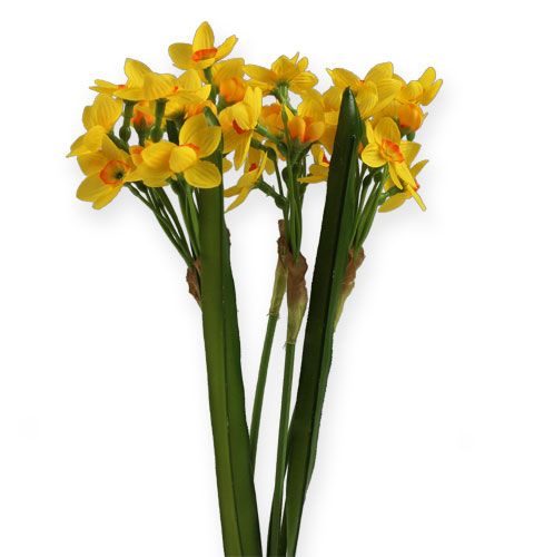 Floristik24 Buquê de narciso amarelo 35cm 3 unidades