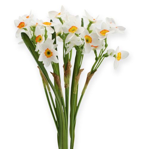 Floristik24 Buquê de narciso em branco 35cm 3 unidades