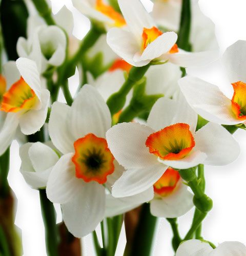 Floristik24 Buquê de narciso em branco 35cm 3 unidades