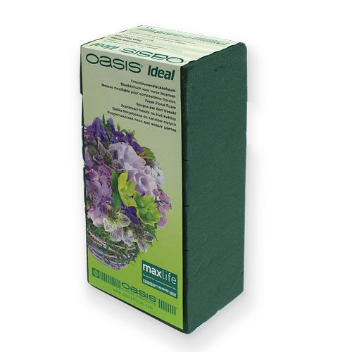 Floristik24 Espuma floral molhada para tijolos de arranjos florais de flores frescas