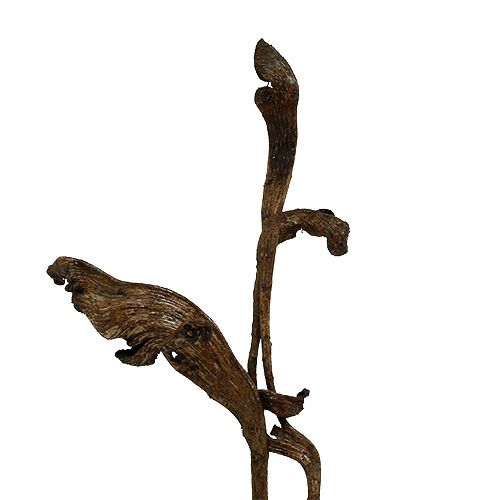 Itens Natraj Antler Wood Mix Natural 10 unidades