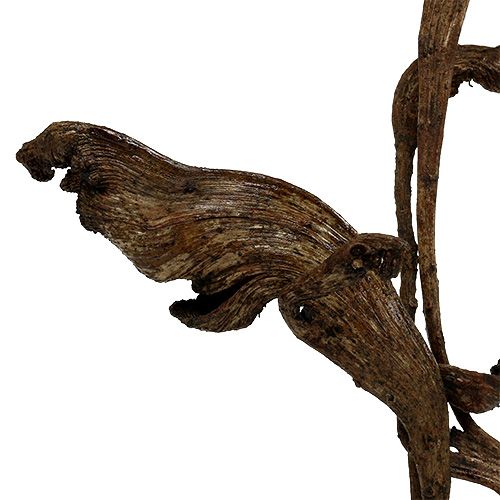 Itens Natraj Antler Wood Mix Natural 10 unidades