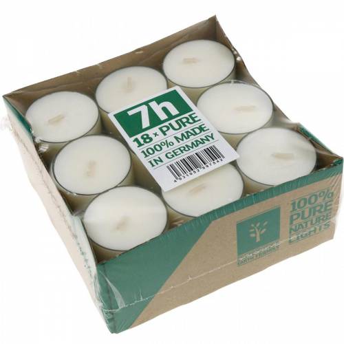 Floristik24 PURE Nature Lights Tealights Cera de colza Tempo de queima natural 7 horas 18 unidades