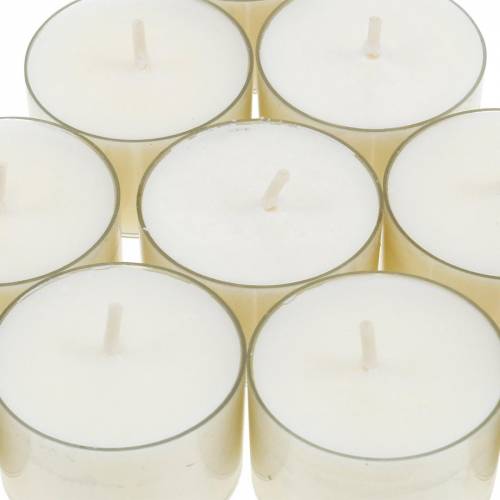 Floristik24 PURE Nature Lights Tealights Cera de colza Tempo de queima natural 7 horas 18 unidades