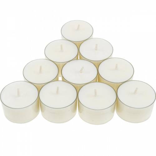 Floristik24 PURE Nature Lights Tealights Cera de colza Tempo de queima natural 7 horas 18 unidades