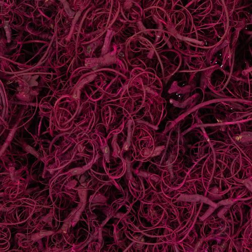 Itens Fibra de tamarindo natural para artesanato, cor bordô, 500g - Decoração, arranjos florais, trabalhos criativos