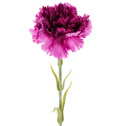Cravo artificial bicolor, haste longa de 56 cm, buquê com 8 unidades. comprar | Floristik24.pt
