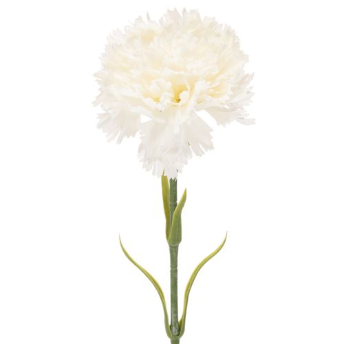 Cravo artificial com haste para buquês e coroas, 56 cm, 8 unidades comprar | Floristik24.pt