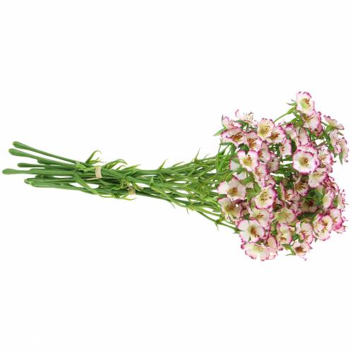 Floristik24 Cacho de Cravos Branco, Roxo 34cm
