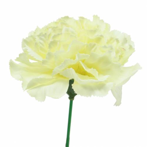 Floristik24 Flor de cravo branco Ø9cm 12pcs