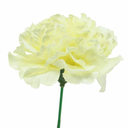 Floristik24 Flor de cravo branca Ø9cm 12 unidades