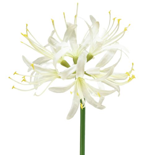 Nerine Guernsey Lírio Flor Artificial Branco Amarelo Ø15cm C65cm