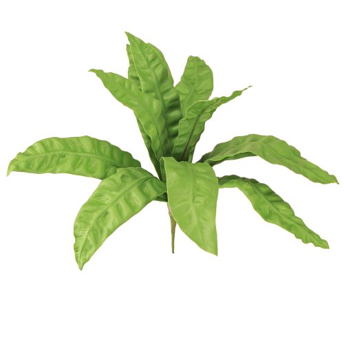 Floristik24 Plantas artificiais de samambaia ninho em verde 5,5×22cm 2 unidades