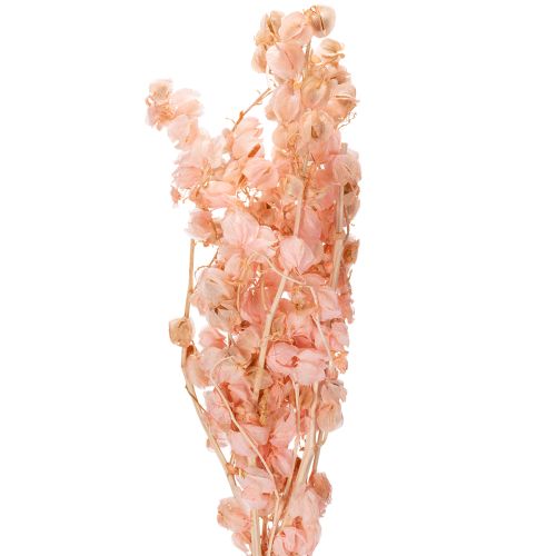 Haste de flor seca cria uma atmosfera romântica para qualquer ambiente (75cm)