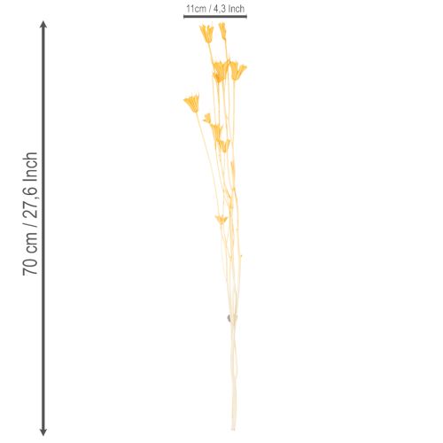 Itens Arranjo de flores secas Nigella para uso prolongado. Peça decorativa elegante. 70cm 50g