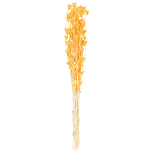 Itens Arranjo de flores secas Nigella para uso prolongado. Peça decorativa elegante. 70cm 50g