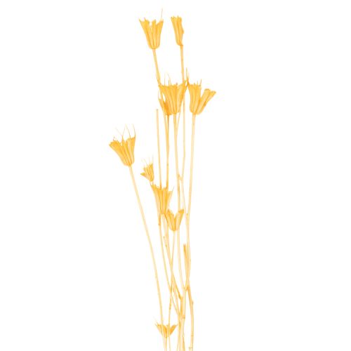 Itens Arranjo de flores secas Nigella para uso prolongado. Peça decorativa elegante. 70cm 50g