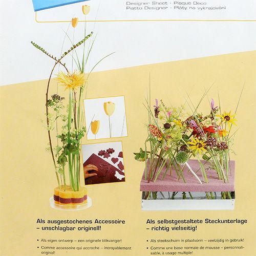 Floristik24 Pratos de design OASIS® Marfim Marfim 3 peças