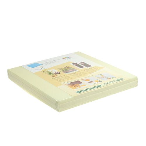 Floristik24 Pratos de design OASIS® Marfim Marfim 3 peças