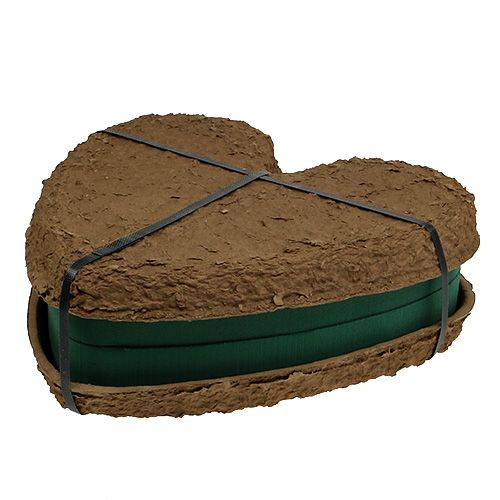 Itens Coração OASIS® Biolit® grande 34 cm 2 unid.