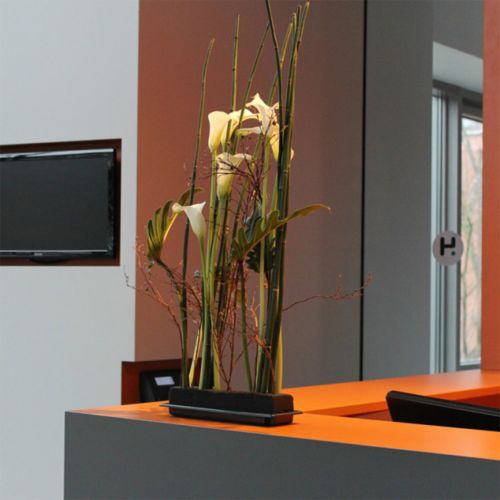 Itens Espuma floral OASIS® Black Table Deco Medi 4 peças