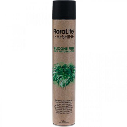 Floristik24 Oasis Floralife Leaf Shine Leaf Spray de Brilho 750ml