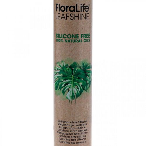 Itens Oasis Floralife Leaf Shine Leaf Spray de Brilho 750ml