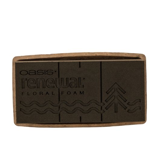 Espuma floral 1/1 bloco OASIS® Renewal® Espuma Floral Biolit® 24cm 2 peças comprar | Floristik24.pt