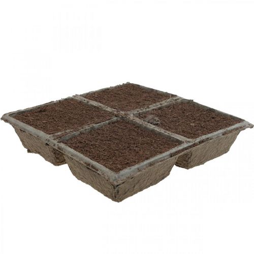 Itens OASIS® TerraBrick™ plug-in composto compostável 8pcs