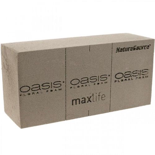 OASIS® BIOLIT® NatureSource espuma floral de tijolo 23cm×11cm×7cm 10 peças