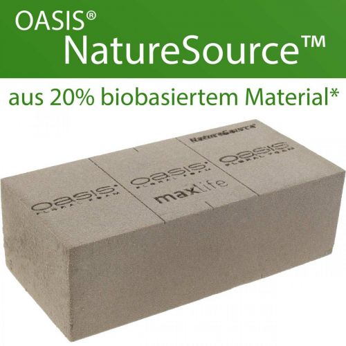 Itens OASIS® BIOLIT® NatureSource espuma floral de tijolo 23cm×11cm×7cm 10 peças