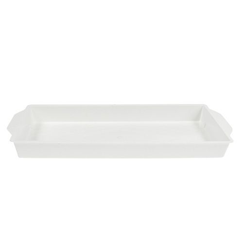 Floristik24 Bandeja de encaixe OASIS® branca 23cm x 11,5cm x 2,5cm 5 peças