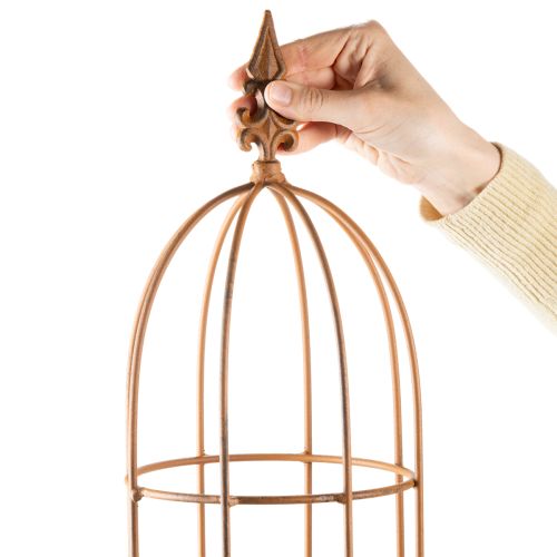 Itens Treliça de jardim, suporte para roseiras e outras plantas trepadeiras, ideal para o design do jardim, 108 cm, conjunto de 2.