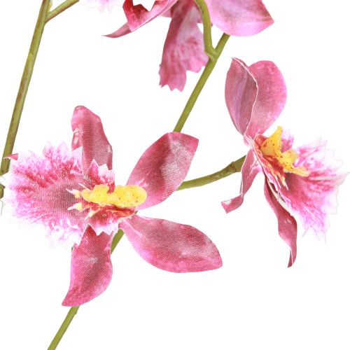 Itens Oncidium Orquídeas Artificiais Decoração Rosa Violeta 93cm 2pcs