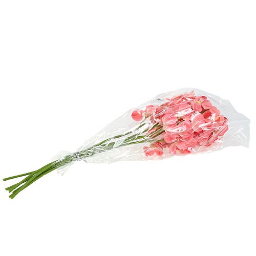Itens Orquídea Mokara Salmão 50cm 6 un