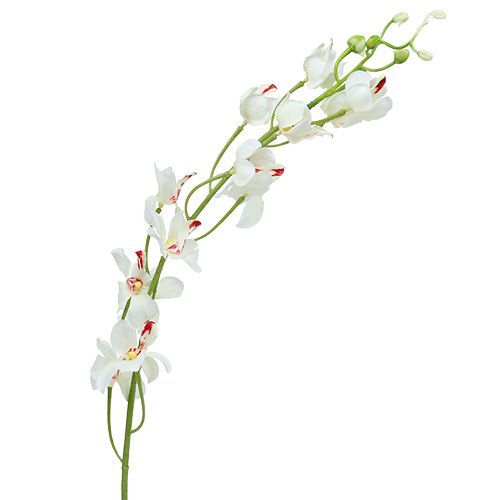 Floristik24 Orquídea Mokara Branco 92cm 3pcs
