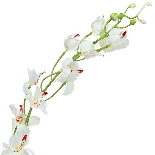 Itens Orquídea Mokara Branco 92cm 3pcs