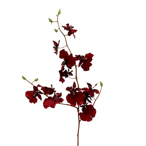 Floristik24 Orquídea Oncidium 70cm vermelho escuro 3pcs