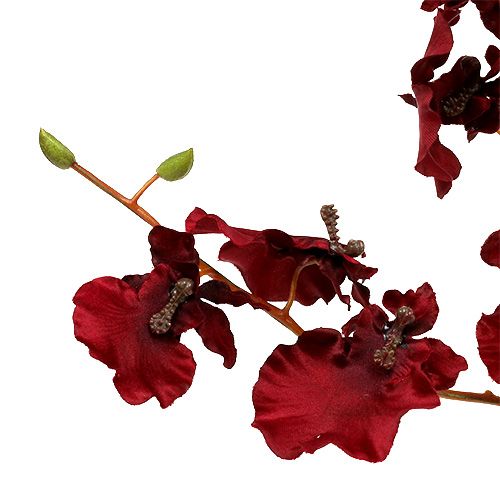 Floristik24 Orquídea Oncidium 70cm vermelho escuro 3pcs