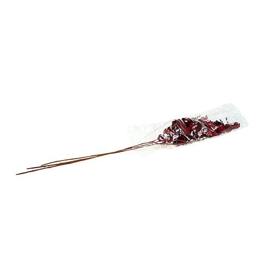 Floristik24 Orquídea Oncidium 70cm vermelho escuro 3pcs