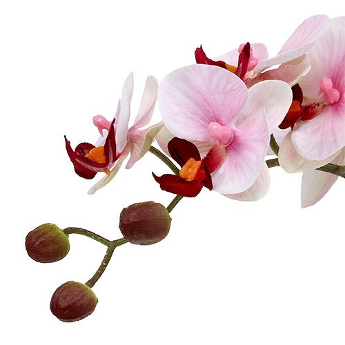 Itens Orquídea rosa em vaso de cerâmica 31cm