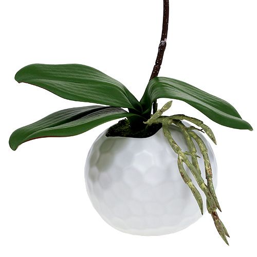 Itens Orquídea rosa em vaso de cerâmica 31cm