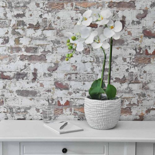 Floristik24 Orquídea Branca em bulbo de 65cm