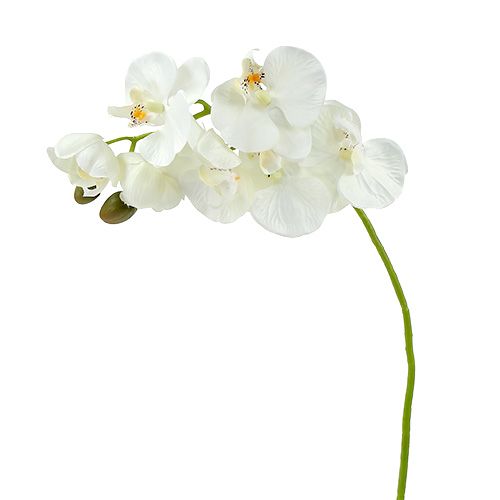 Floristik24 Orquídea branca artificial L73cm 4pcs