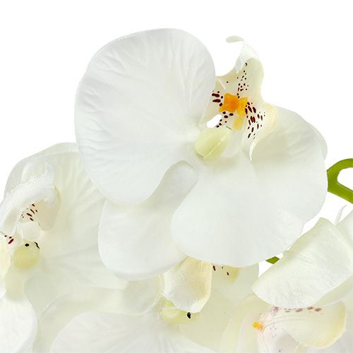 Itens Orquídea branca artificial L73cm 4pcs