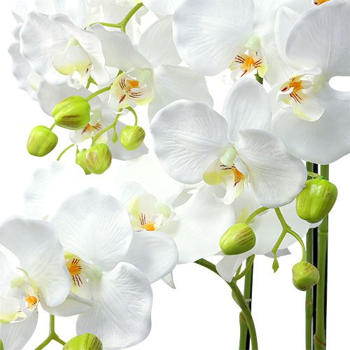 Itens Orquídea branca com globo 110cm